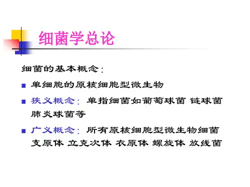 细菌的基本性状 细菌形态学