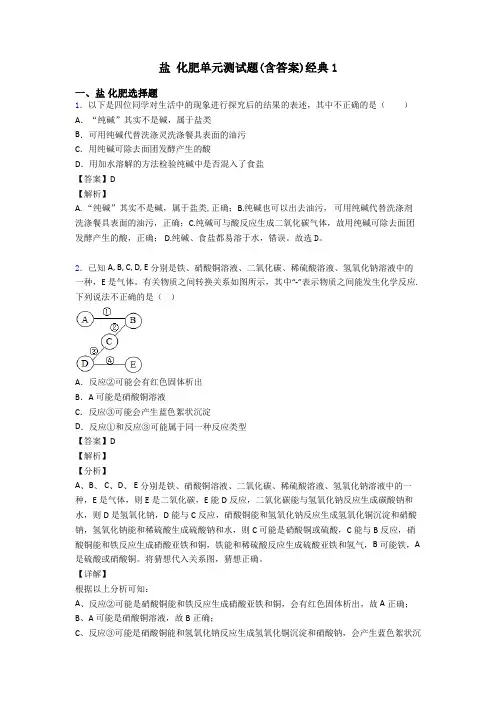 盐 化肥单元测试题(含答案)经典1