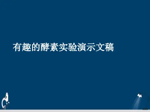 有趣的酵素实验演示文稿