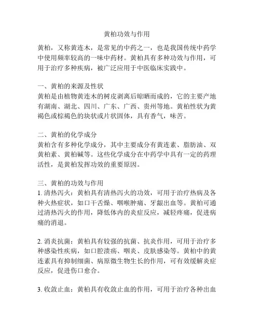 黄柏功效与作用