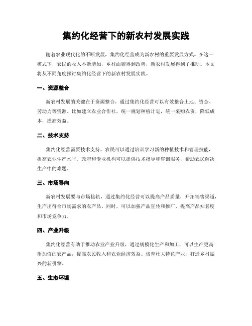 集约化经营下的新农村发展实践
