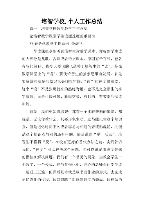 培智学校,个人工作总结