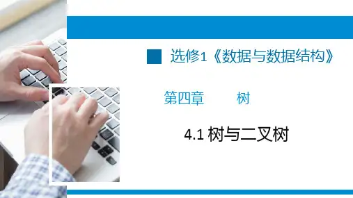 树与二叉树二叉树的基本操作课件-浙教版(2019)高中信息技术选修1