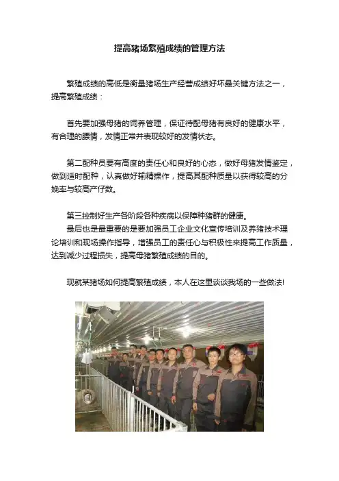 提高猪场繁殖成绩的管理方法