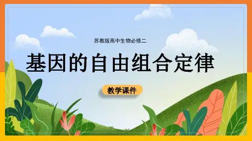 高中生物《基因的自由组合定律》教学课件ppt