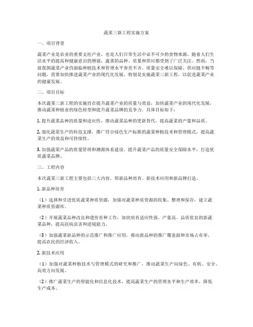 蔬菜三新工程实施方案