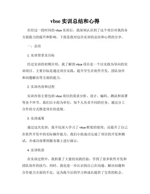 vbse实训总结和心得
