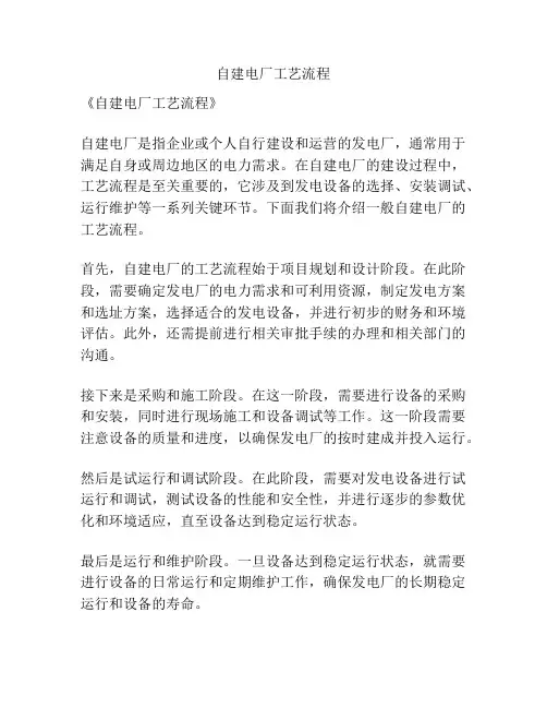 自建电厂工艺流程