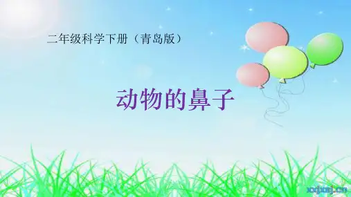 青岛版二年级科学下册《动物的鼻子》课件