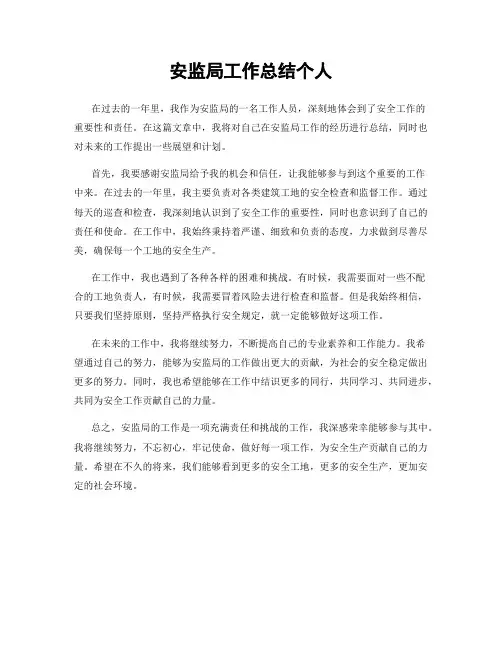 安监局工作总结个人