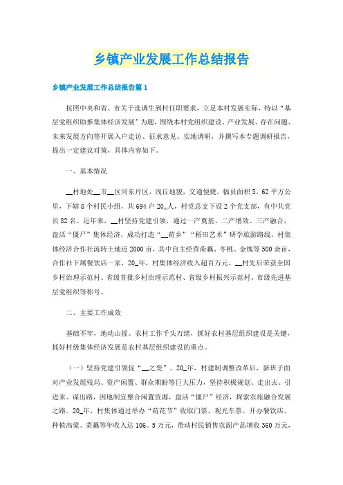 乡镇产业发展工作总结报告