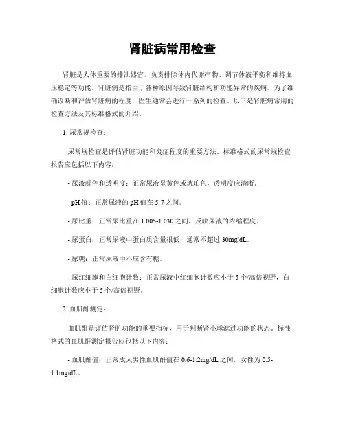 肾脏病常用检查