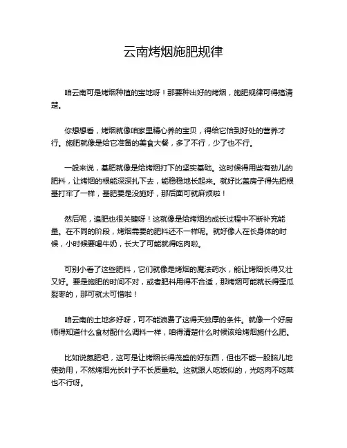 云南烤烟施肥规律