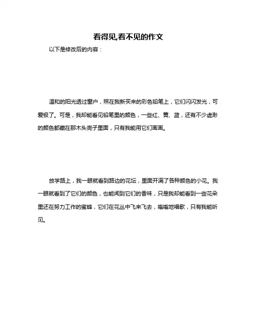 看得见,看不见的作文