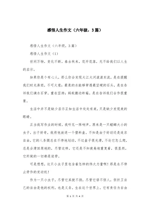 感悟人生作文（六年级，3篇）