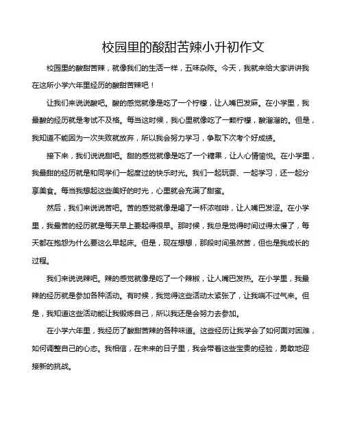 校园里的酸甜苦辣小升初作文
