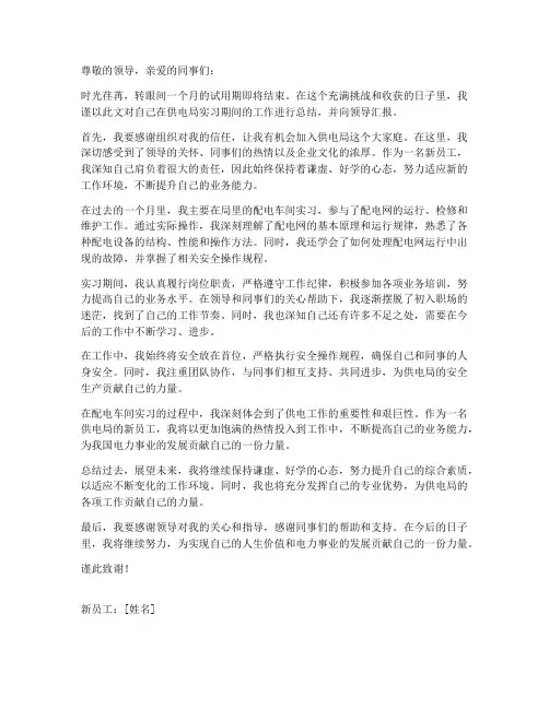 供电局新员工个人工作总结