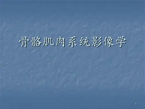 骨骼肌肉疾病PPT课件