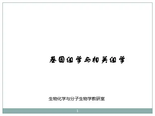 基因组学与相关组学ppt课件