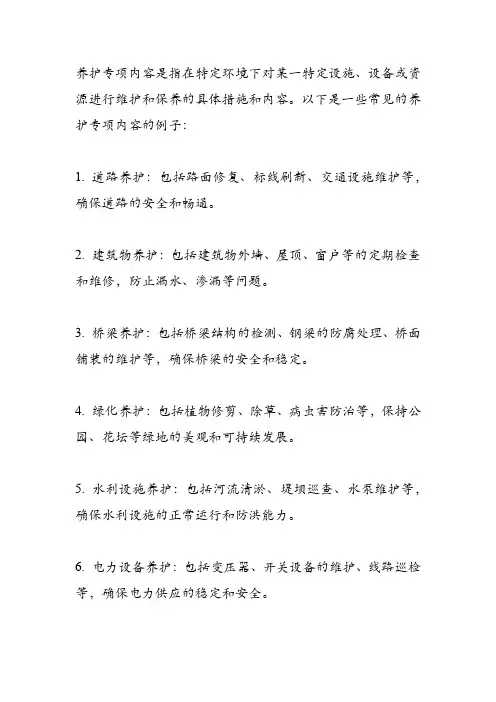 养护专项内容
