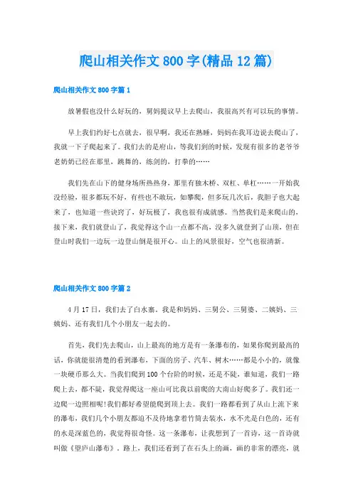 爬山相关作文800字(精品12篇)