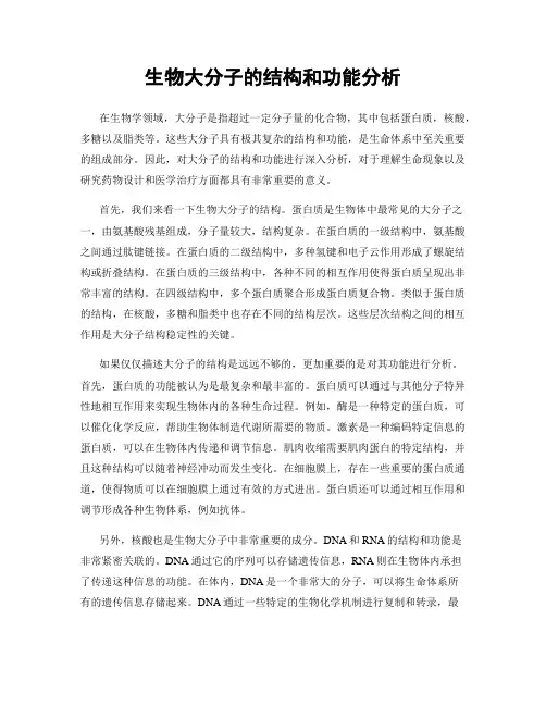 生物大分子的结构和功能分析