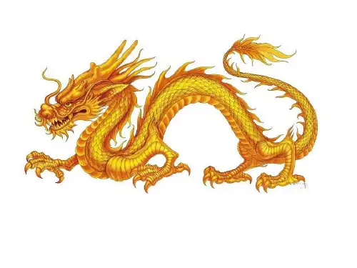 五年级上册美术课件14 中国龙人美版 (共21张PPT)