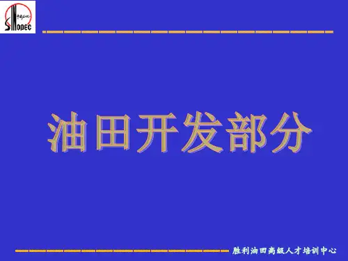 31油气勘探开发-石油知识