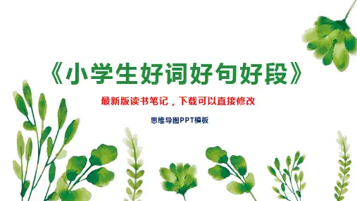 《小学生好词好句好段》读书笔记思维导图
