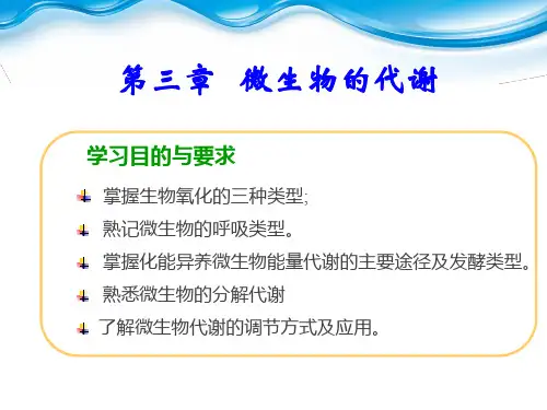 微生物的代谢