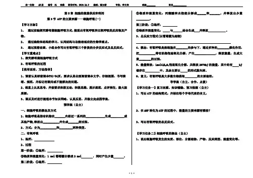 细胞呼吸学案
