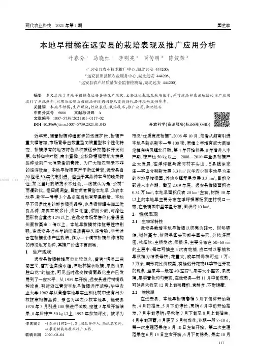 本地早柑橘在远安县的栽培表现及推广应用分析