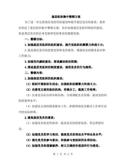 基层组织集中整顿方案