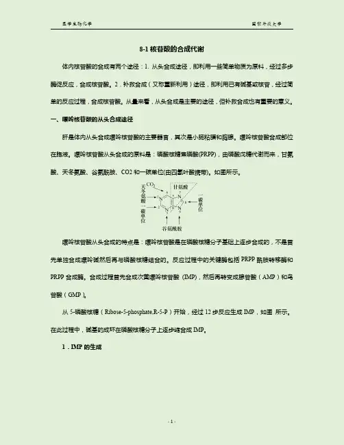 8-1核苷酸的合成代谢