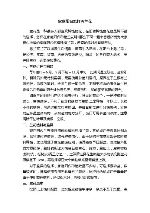 家庭阳台怎样养兰花