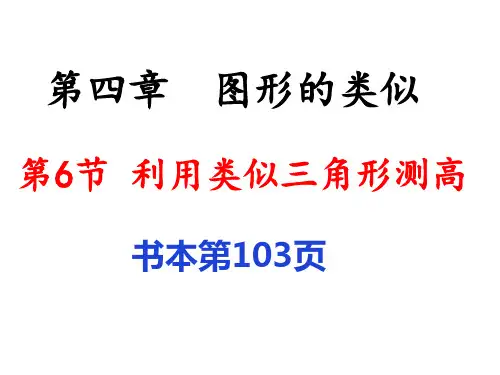 北师大版数学九年级上册利用相似三角形测高课件