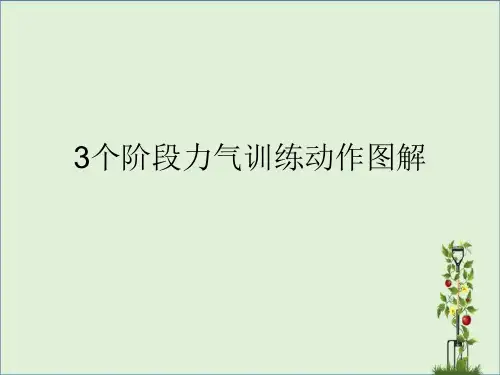 3个阶段动作图解解析