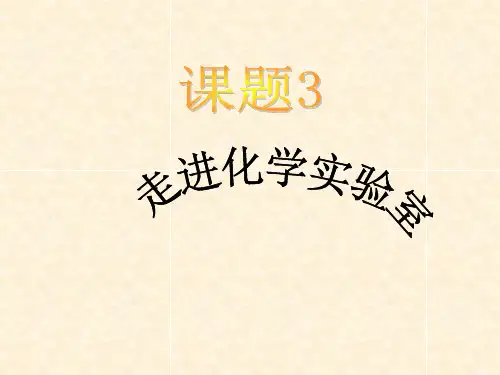 常用仪器使用ppt