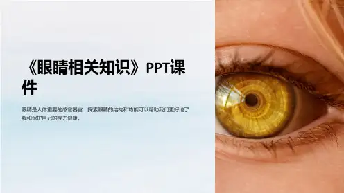 《眼睛相关知识》课件
