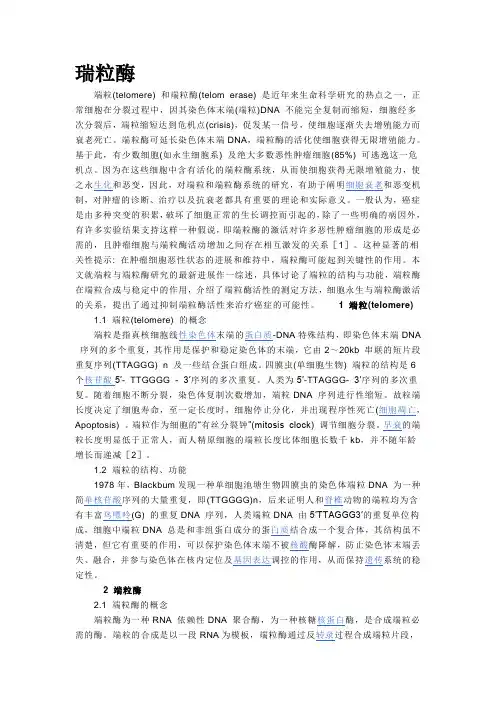瑞粒酶总述