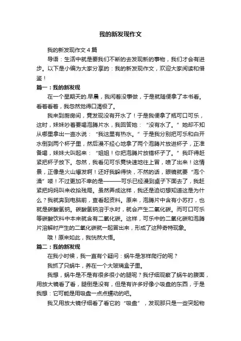 我的新发现作文4篇