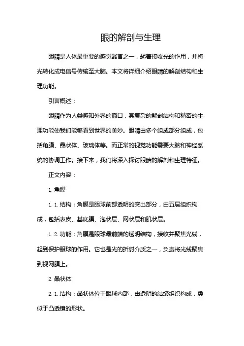 眼的解剖与生理