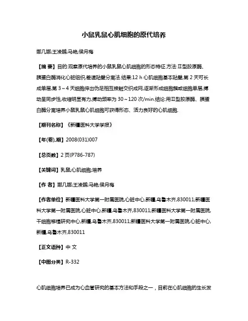 小鼠乳鼠心肌细胞的原代培养