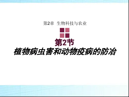 人教版高中生物选修2  2.3《植物病虫害的防治原理和方法》 课件  (6) (共65张PPT)