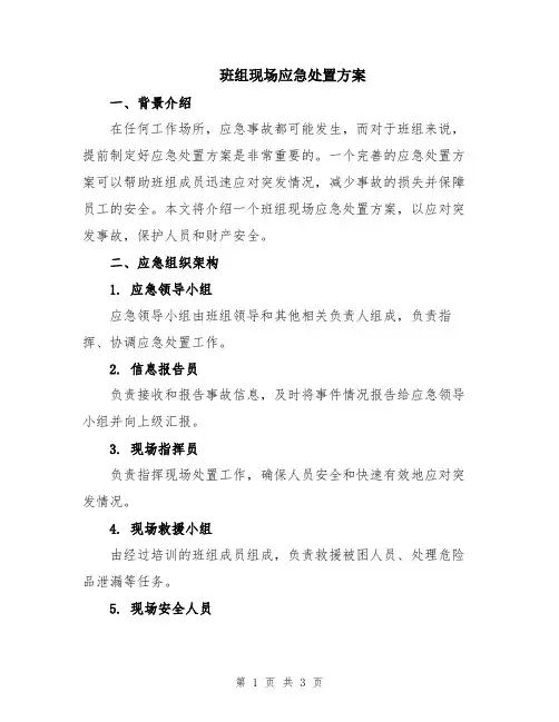 班组现场应急处置方案