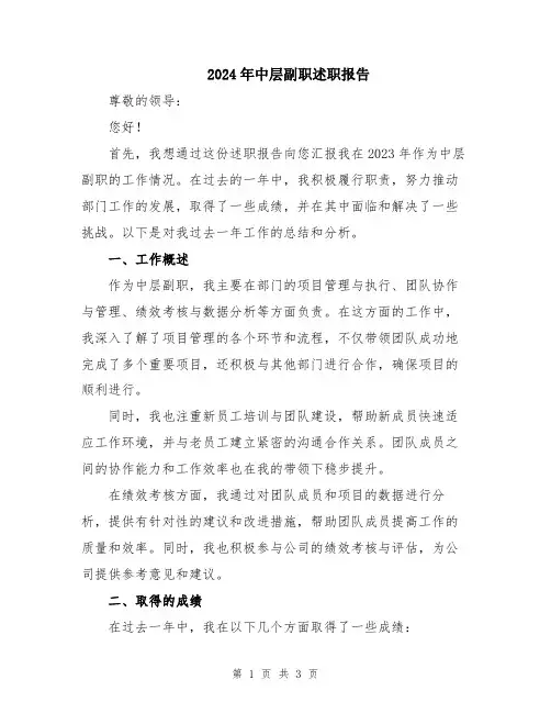 2024年中层副职述职报告