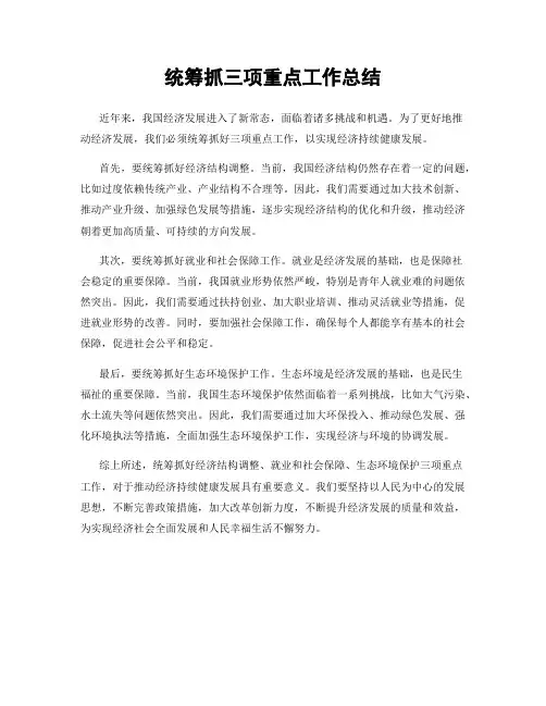 统筹抓三项重点工作总结