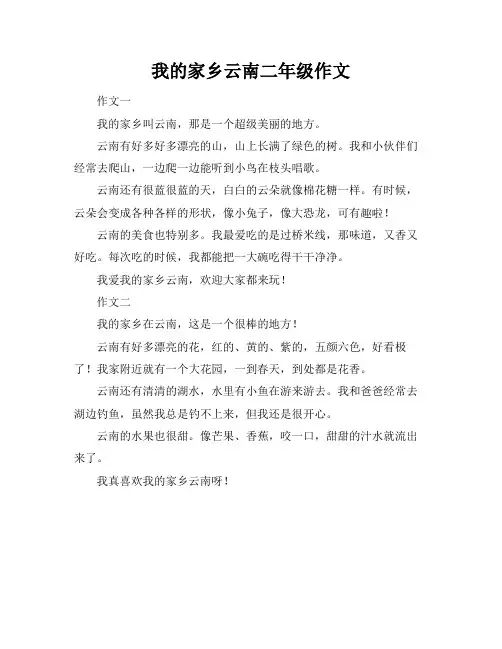 我的家乡云南二年级作文