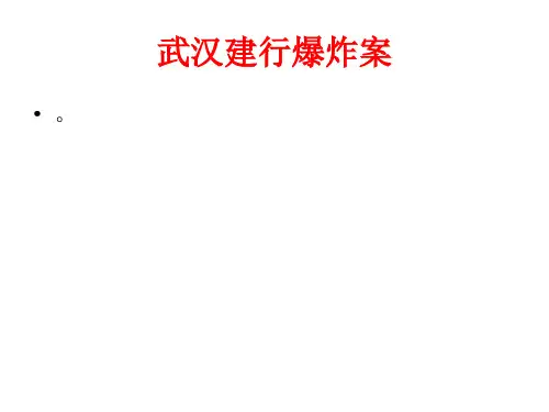 毛概演讲作业ppt