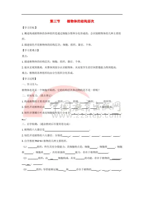 七年级生物上册 2.2.3《植物体的结构层次》导学案1(无答案)(新版)新人教版